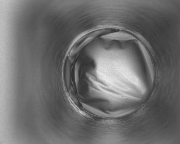 X0000080101246200612301910