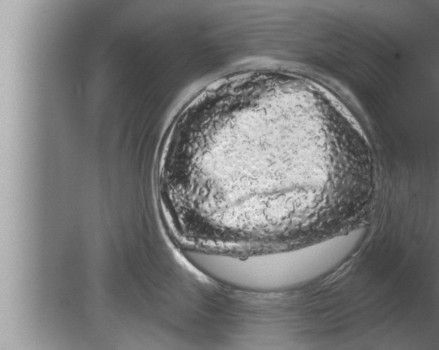 X0000080101247200612301910