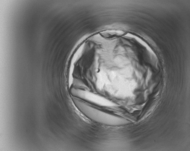 X0000080101248200612301910