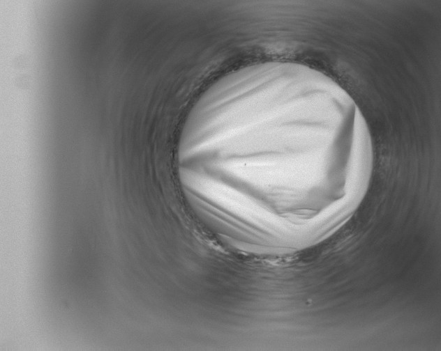 X0000080101249200612301909