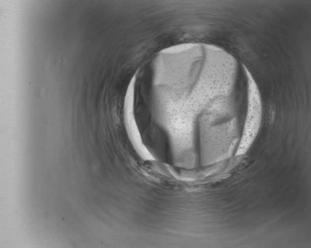 X0000080101250200612301909