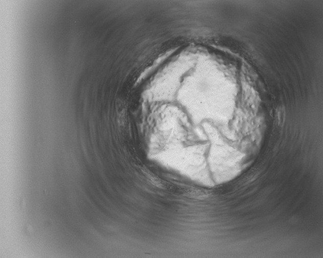 X0000080101251200612301909