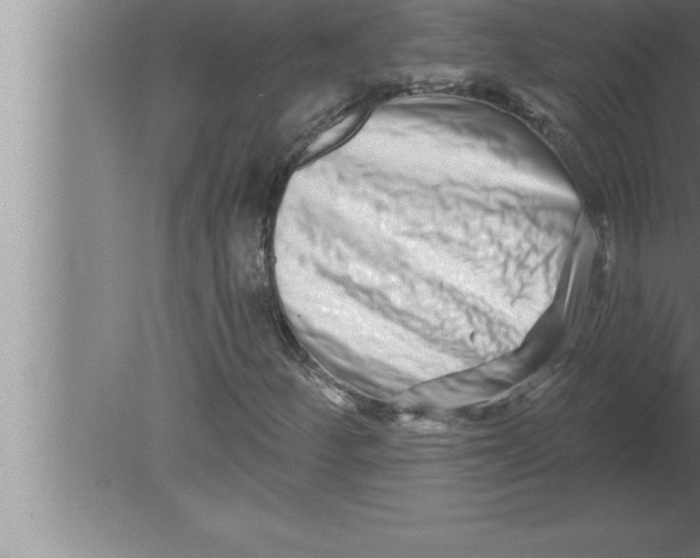 X0000080101252200612301909