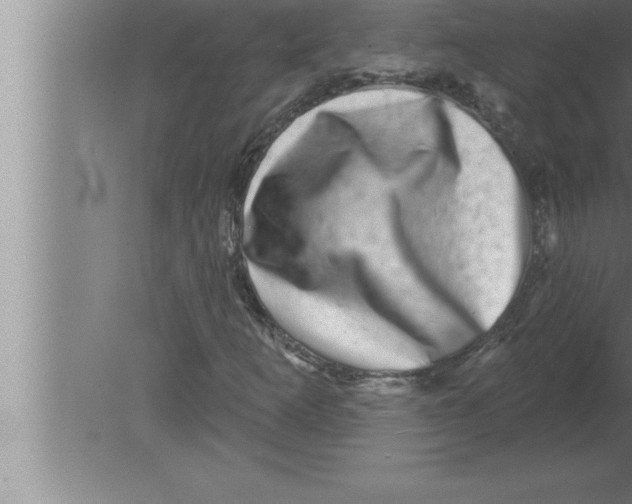 X0000080101253200612301909