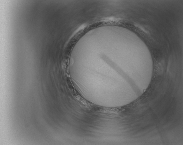 X0000080101254200612301909