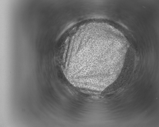 X0000080101255200612301909