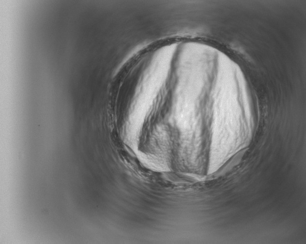 X0000080101256200612301909