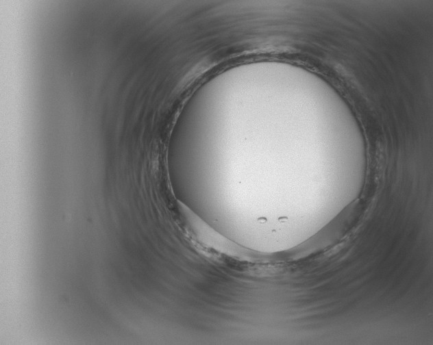 X0000080101257200612301909