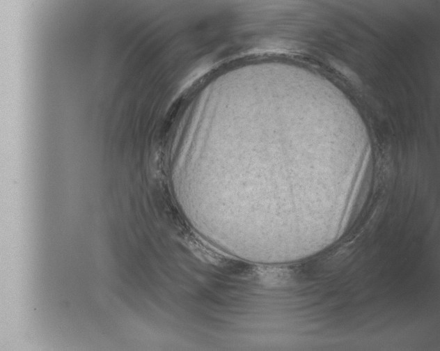 X0000080101258200612301909