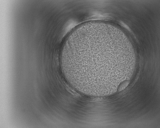 X0000080101259200612301909