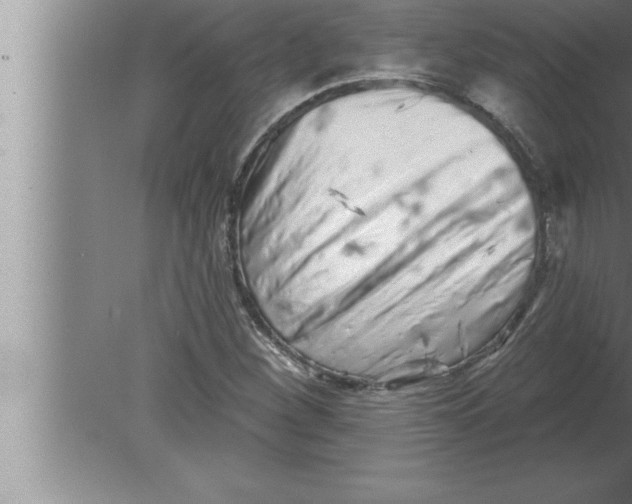 X0000080101260200612301909