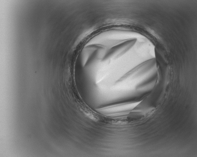 X0000080101261200612301909