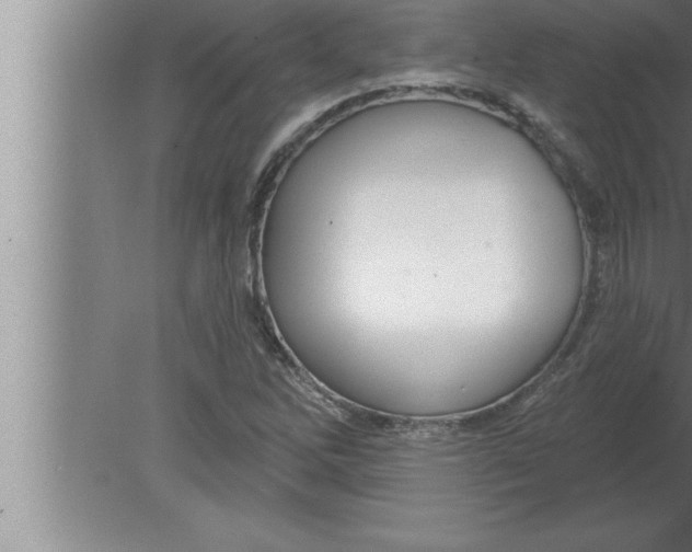 X0000080101262200612301909