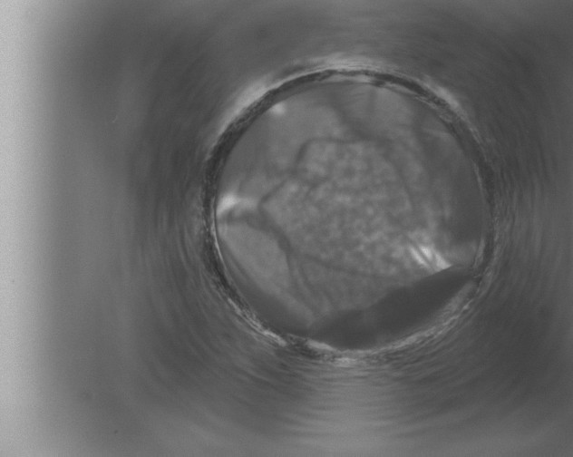 X0000080101263200612301909