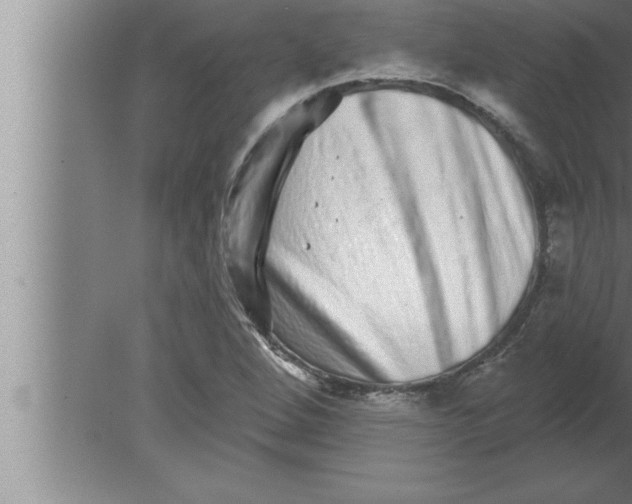 X0000080101264200612301909