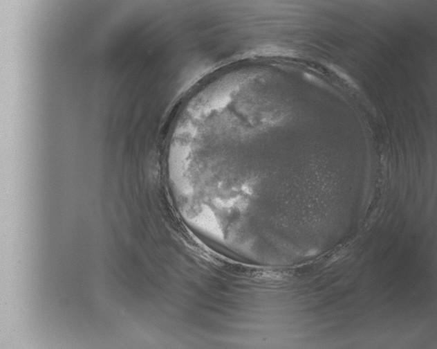 X0000080101266200612301909