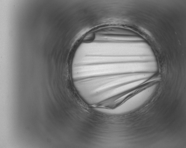 X0000080101267200612301909