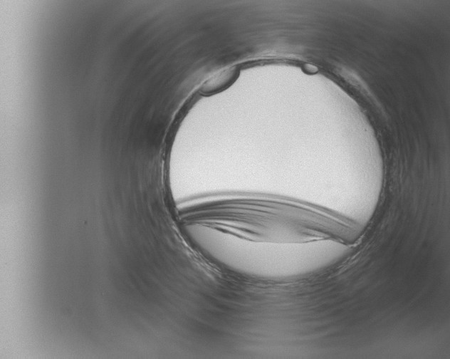 X0000080101268200612301908