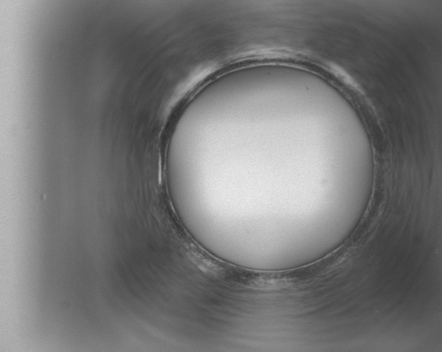 X0000080101269200612301908