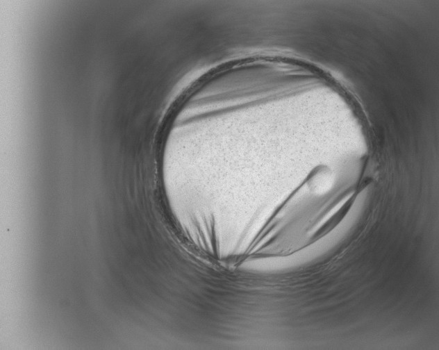 X0000080101271200612301908