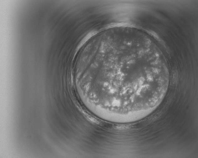 X0000080101274200612301908