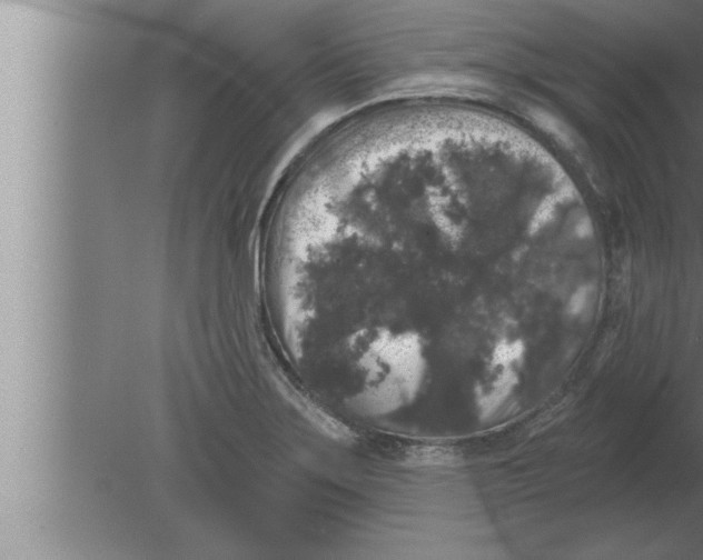 X0000080101275200612301908