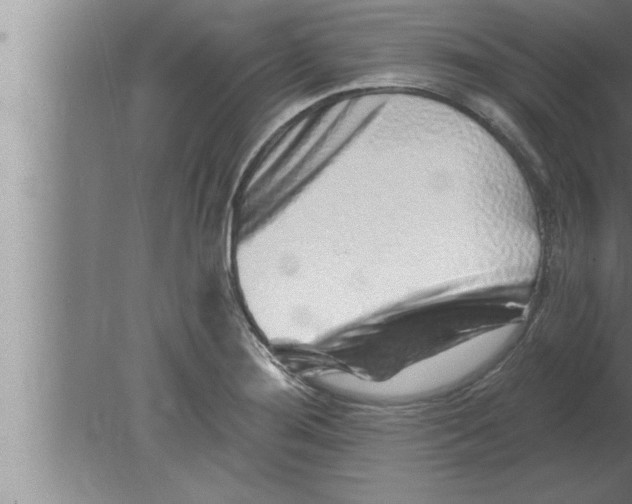 X0000080101276200612301908