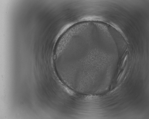 X0000080101277200612301908