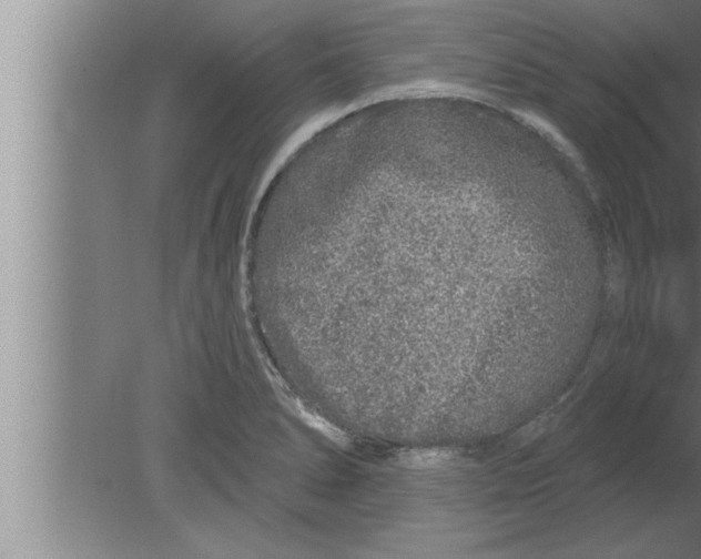 X0000080101278200612301908