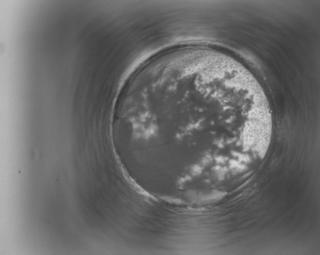 X0000080101279200612301908