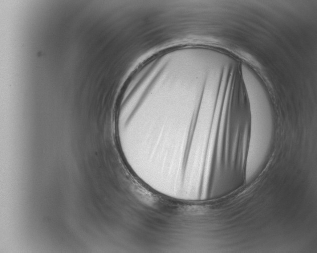 X0000080101280200612301908