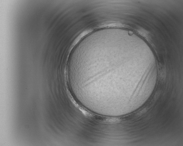 X0000080101282200612301908