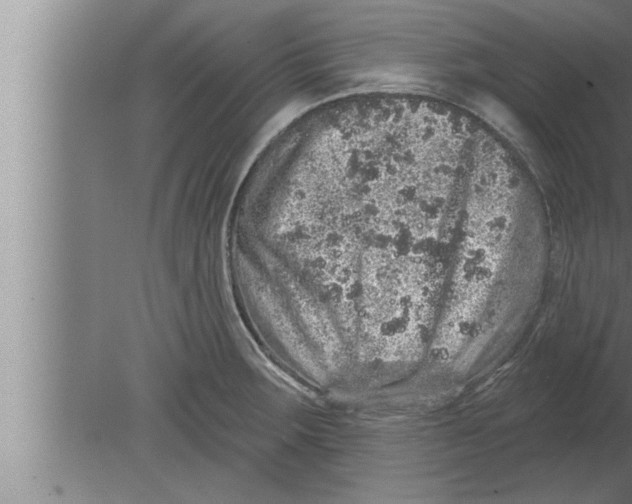 X0000080101283200612301908