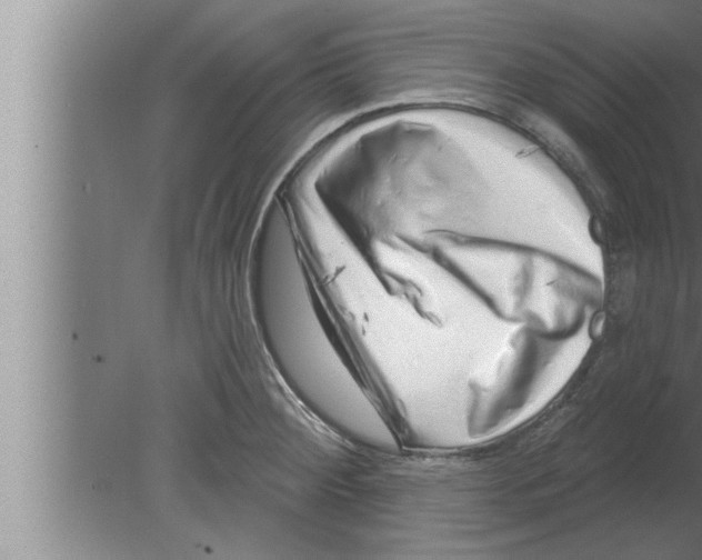 X0000080101284200612301908