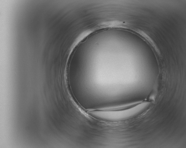 X0000080101285200612301908