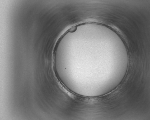 X0000080101286200612301908