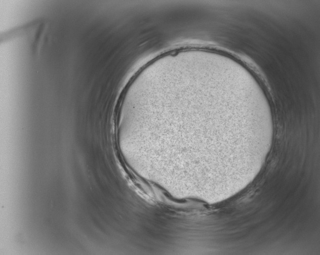 X0000080101287200612301908