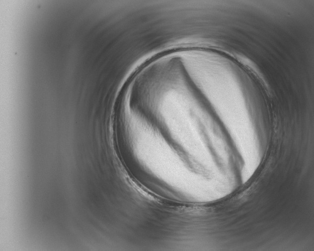 X0000080101288200612301908