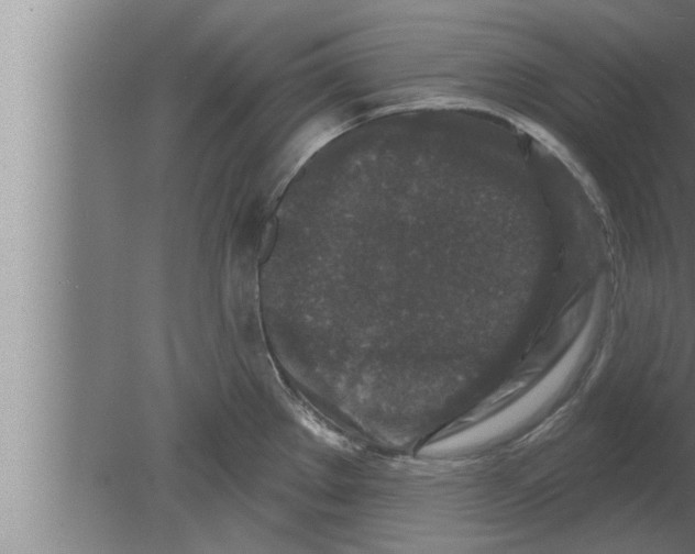 X0000080101289200612301908