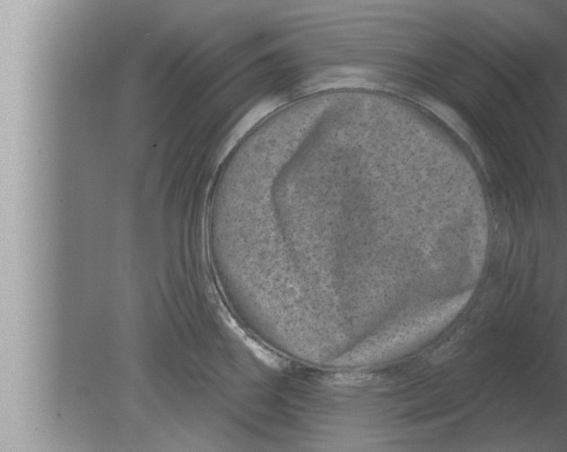 X0000080101290200612301908