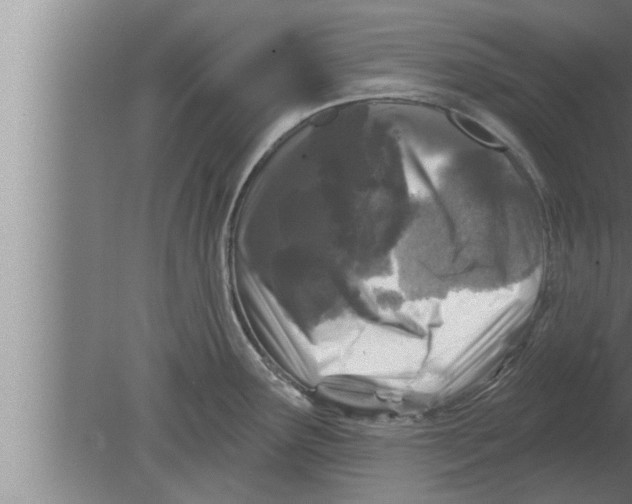 X0000080101291200612301908