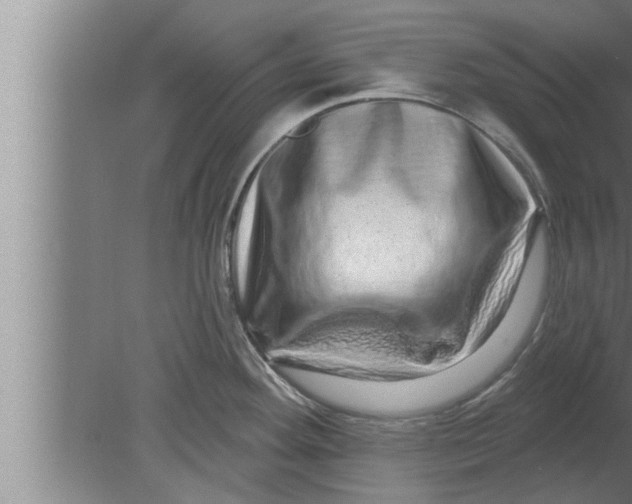 X0000080101292200612301908