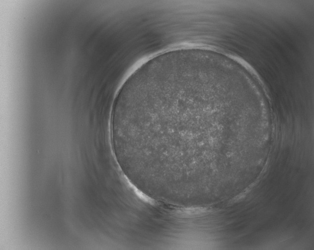 X0000080101294200612301908