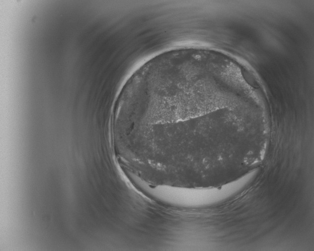 X0000080101295200612301908