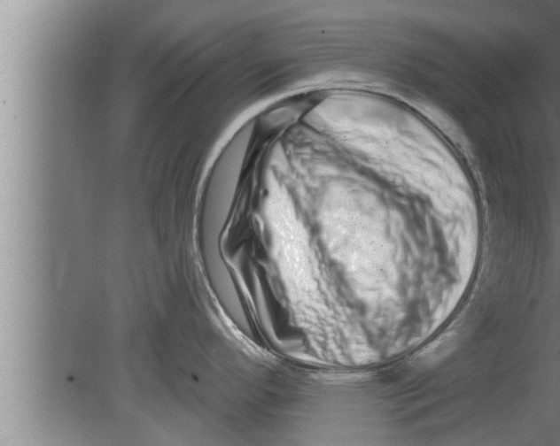 X0000080101296200612301908