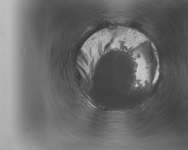 X0000080101297200612301907