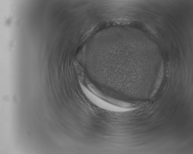 X0000080101298200612301907