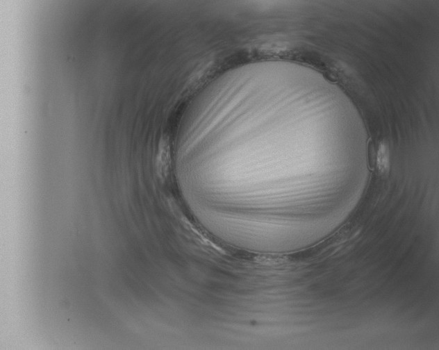 X0000080101299200612301907