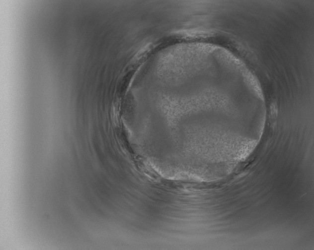 X0000080101300200612301907