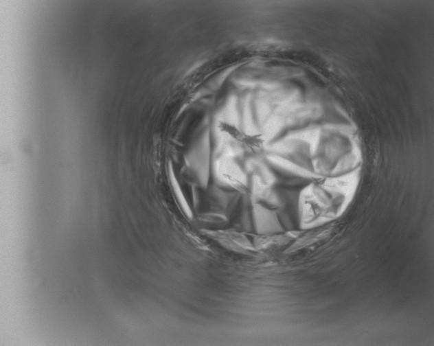 X0000080101301200612301907